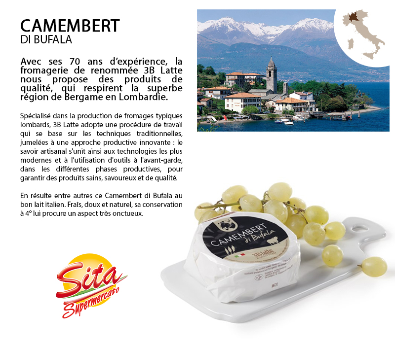 Camembert da latte Vaccino